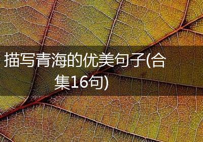 描写青海的优美句子(合集16句)