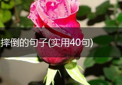摔倒的句子(实用40句)