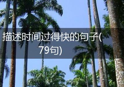描述时间过得快的句子(79句)