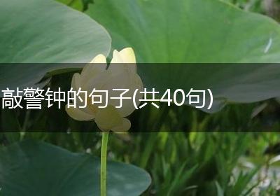 敲警钟的句子(共40句)