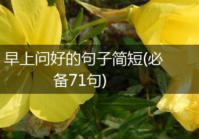早上问好的句子简短(必备71句)