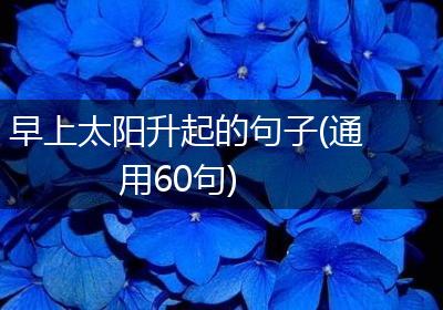 早上太阳升起的句子(通用60句)