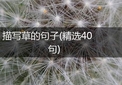 描写草的句子(精选40句)