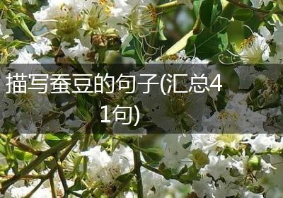 描写蚕豆的句子(汇总41句)