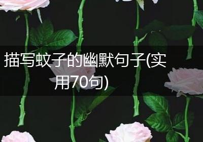 描写蚊子的幽默句子(实用70句)
