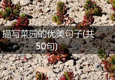 描写菜园的优美句子(共50句)