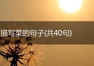 描写菜的句子(共40句)