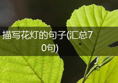 描写花灯的句子(汇总70句)