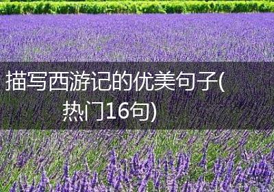 描写西游记的优美句子(热门16句)