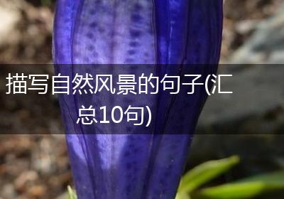 描写自然风景的句子(汇总10句)