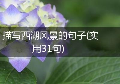 描写西湖风景的句子(实用31句)
