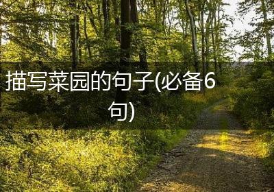 描写菜园的句子(必备6句)
