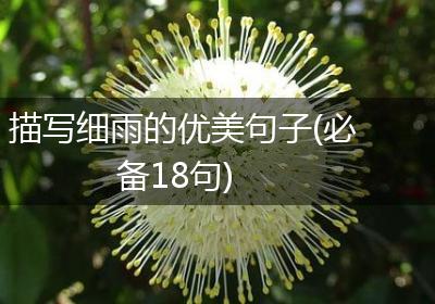 描写细雨的优美句子(必备18句)