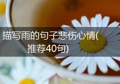 描写雨的句子悲伤心情(推荐40句)