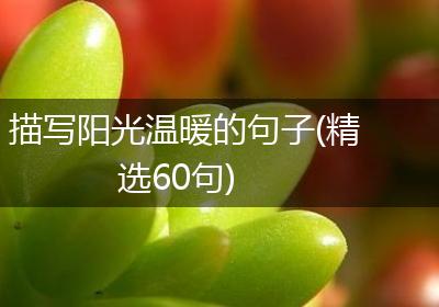 描写阳光温暖的句子(精选60句)