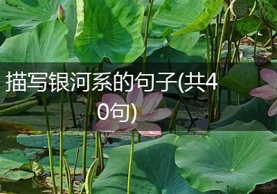 描写银河系的句子(共40句)