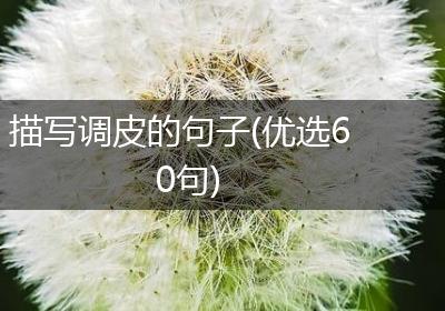 描写调皮的句子(优选60句)