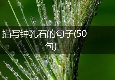 描写钟乳石的句子(50句)