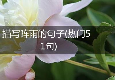 描写阵雨的句子(热门51句)