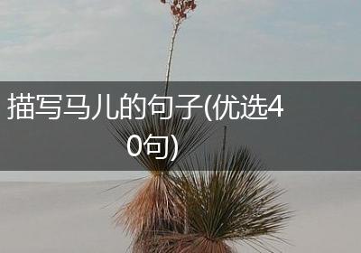 描写马儿的句子(优选40句)