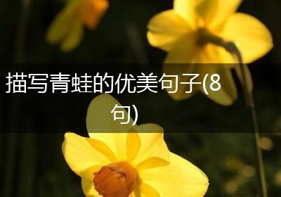 描写青蛙的优美句子(8句)