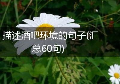 描述酒吧环境的句子(汇总60句)