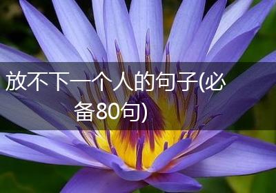 放不下一个人的句子(必备80句)