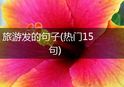 旅游发的句子(热门15句)