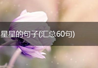 星星的句子(汇总60句)
