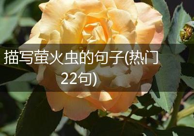 描写萤火虫的句子(热门22句)