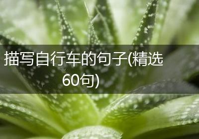 描写自行车的句子(精选60句)