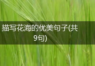 描写花海的优美句子(共9句)