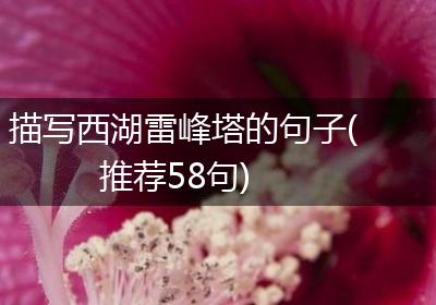 描写西湖雷峰塔的句子(推荐58句)