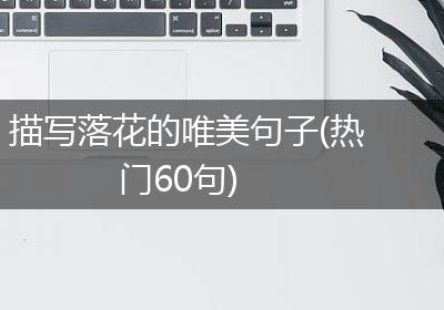 描写落花的唯美句子(热门60句)