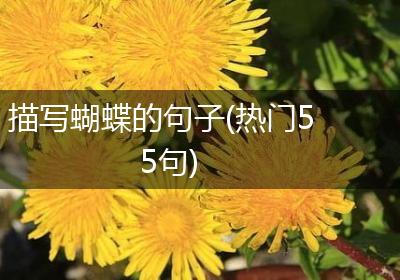 描写蝴蝶的句子(热门55句)