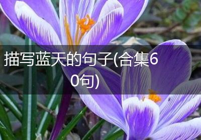 描写蓝天的句子(合集60句)