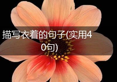 描写衣着的句子(实用40句)