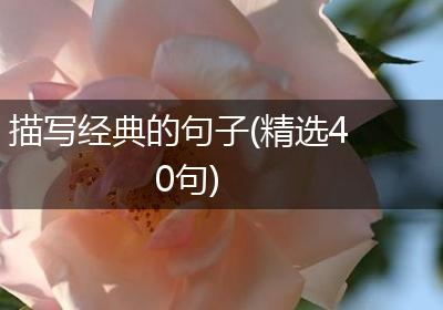 描写经典的句子(精选40句)