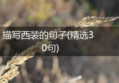 描写西装的句子(精选30句)