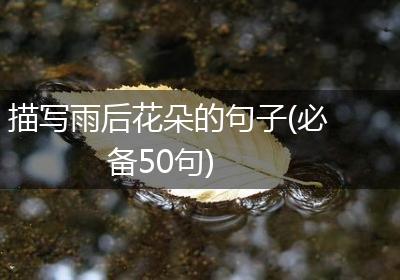 描写雨后花朵的句子(必备50句)