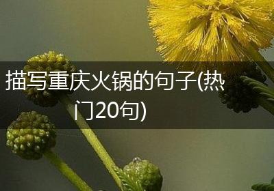 描写重庆火锅的句子(热门20句)