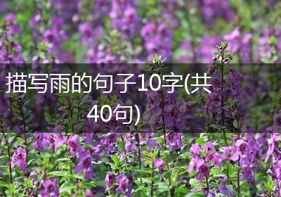 描写雨的句子10字(共40句)