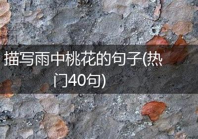 描写雨中桃花的句子(热门40句)