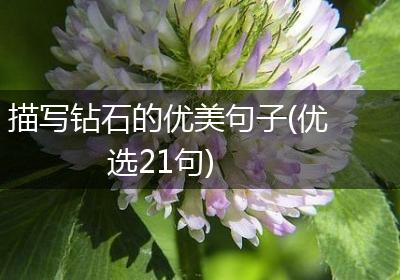 描写钻石的优美句子(优选21句)