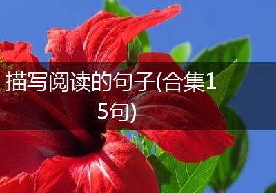 描写阅读的句子(合集15句)