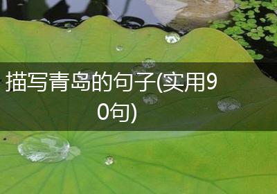 描写青岛的句子(实用90句)