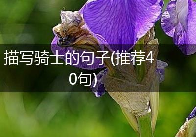描写骑士的句子(推荐40句)