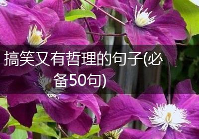 搞笑又有哲理的句子(必备50句)