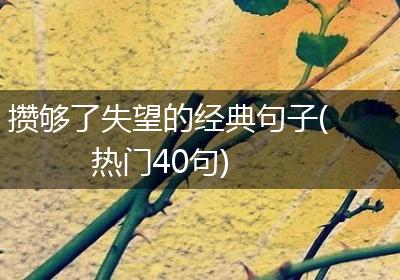 攒够了失望的经典句子(热门40句)