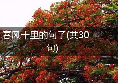 春风十里的句子(共30句)